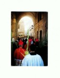 CP131-67 Jerusalem, Palm Sunday Procesion - necirculata