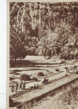 96 RPR Slanic Moldova Parcul,circulat 1956