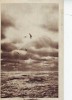 100 RPR Constanta Marea 1955