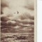 100 RPR Constanta Marea 1955