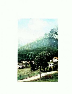 CP120-59 Busteni -circulata 1966 foto