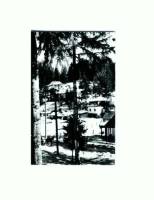 CP119-11 Borsec -Vedere din statiune -circulata 1966 foto