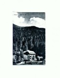CP119-40 -Vedere din Timisu de Jos -RPR -circulata 1963