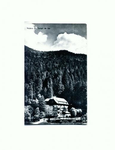 CP119-40 -Vedere din Timisu de Jos -RPR -circulata 1963
