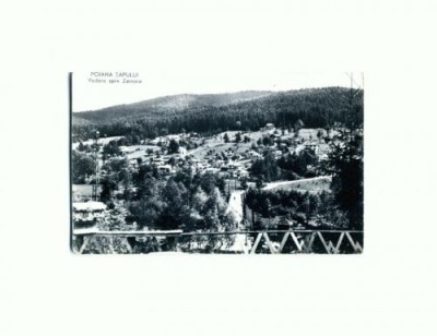 CP119-92 -Poiana Tapului -Vedere spre Zamora -RPR foto