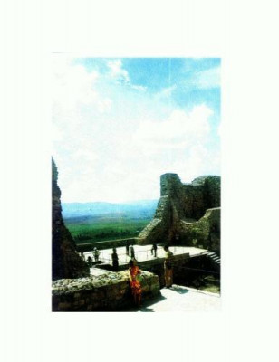 CP110-64 -Targu Neamt, Ruinele cetatii Neamtului(sec. XIV -XV) foto