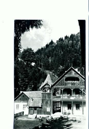 CP73-37- Vedere din Valea Vinului (circulata 1966)