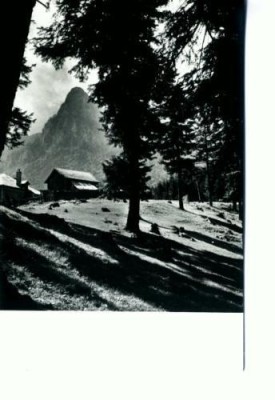 CP54-45-Busteni-Vedere-RPR foto