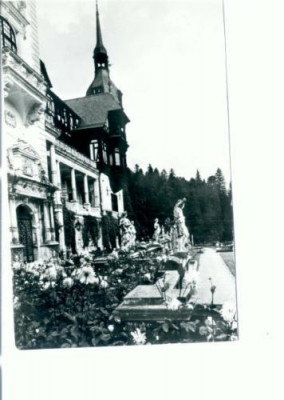 CP80-50 -Sinaia, Muzeul Peles (circulata 1969) foto