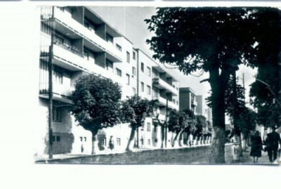 CP81-36 -Oradea- Str. g-ral Magheru -RPR (circulata 1965) foto