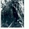 CP74-10- Baile Herculane, Intrarea in pestera ,,Grota Haiducilor