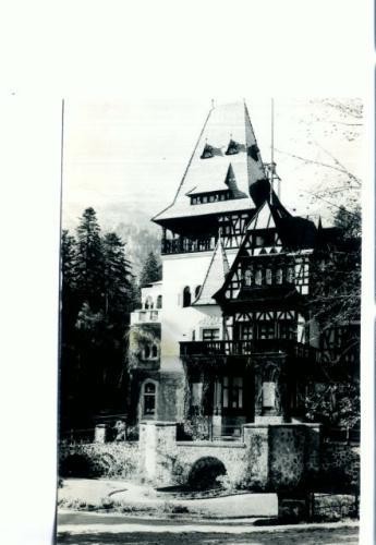 CP74-08 -Sinaia-Pelisorul- RPR (circulata 1957) CP74-08 -Sinaia-Pelisorul- RPR (circulata 1957)