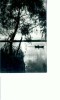 CP92-32 -Apus de soare in Delta Dunarii -circulata 1971
