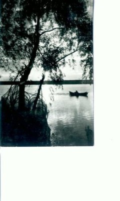 CP92-32 -Apus de soare in Delta Dunarii -circulata 1971 foto