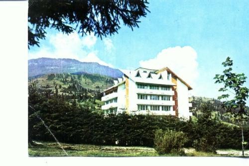 CP82-41 -Borsa -Pavilionul ,,Bradet" (circulata 1977) CP82-41 -Borsa -Pavilionul ,,Bradet" (circulata 1977)