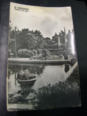 Sfantu Gheorghe - Vedere din parc foto