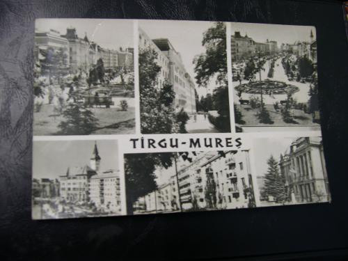 Targu Mures - Mozaic 2