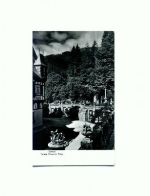 CP127-16 Sinaia -Terasa Muzeului Peles -RPR -necirculata foto