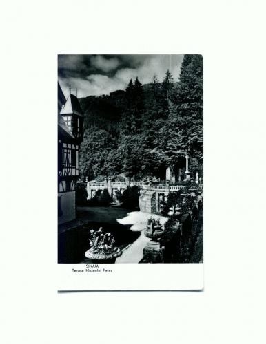 CP127-16 Sinaia -Terasa Muzeului Peles -RPR -necirculata CP127-16 Sinaia -Terasa Muzeului Peles -RPR -necirculata