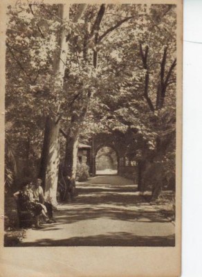 135 RPR Buzias vedere din parc foto