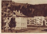 127 RPR Vatra Dornei baile circulat