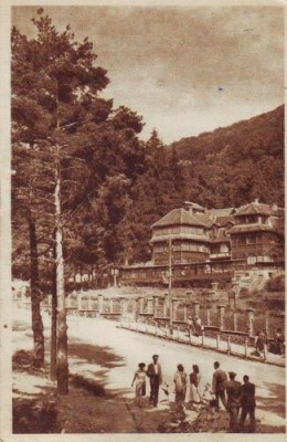 134 RPR Sovata vedere circulat foto
