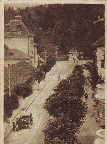 145 RPR Govora spre parc