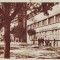 147 RPR Timisoara Bulevardul 23 august circulat