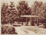 157 RPR Covasna vedere din parc UNC