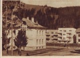 243 RPR Vatra Dornei