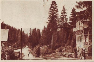 247 RPR Borsec Spre Izvoare foto