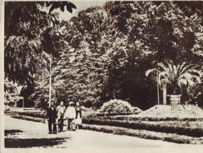 172 RPR Buzias in parc circulat 1954 foto