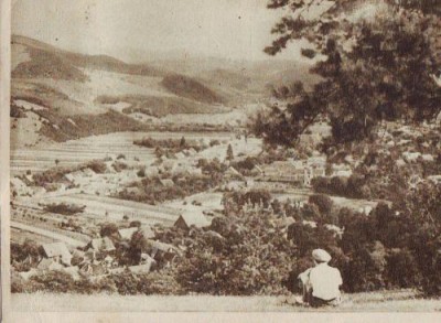 258 RPR Zizin vedere circulat 1955 foto