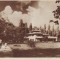 260 RPR Bucuresti Gradina Botanica