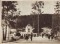 Foto  - 1