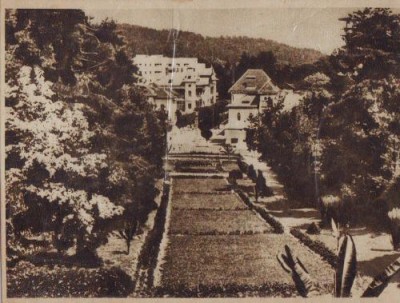 307 RPR Govora Parcul foto