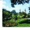 CP94-24 -Oradea -Vedere din parcul Petofi -circulata 1978