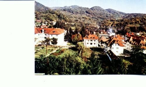 CP95-47 -Olanesti -necirculata CP95-47 -Olanesti -necirculata
