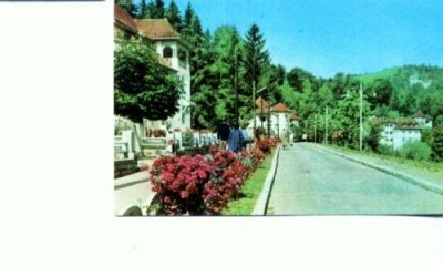 CP95-48 -Olanesti -circulata 1966 -timbru RPR foto