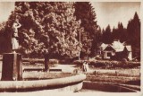 345 RPR Borsec vedere din parc