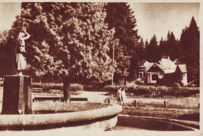 345 RPR Borsec vedere din parc foto