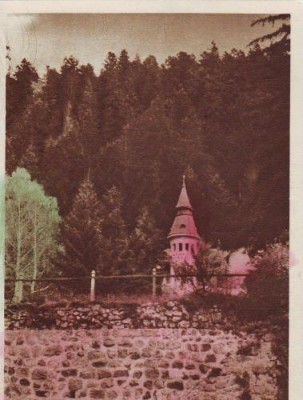 308 RPR Tusnad Bai vedere foto