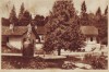 334 RPR Borsec vedere din parc 1957