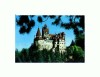 CP109-10 -Castelul Bran -Regiunea Brasov -necirculata