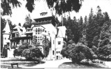 carte postala 47-Sinaia-Pelisorul
