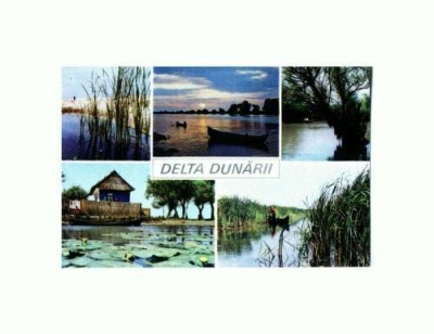 CP109-69 -Delta Dunarii -necirculata foto