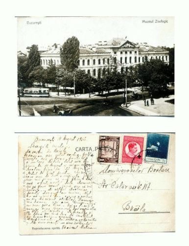 CP106-44 -Bucuresti -Muzeul Zoologic -datata 1932. CP106-44 -Bucuresti -Muzeul Zoologic -datata 1932.