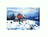CP118-47 Paltinis, Telefericul -necirculata -blanc