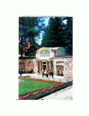 CP118-66 Borsec, Izvorul principal de apa minera -circulata 1973 foto