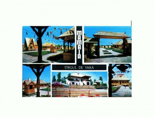 CP118-81 Mamaia -Targul de vara - necirculata